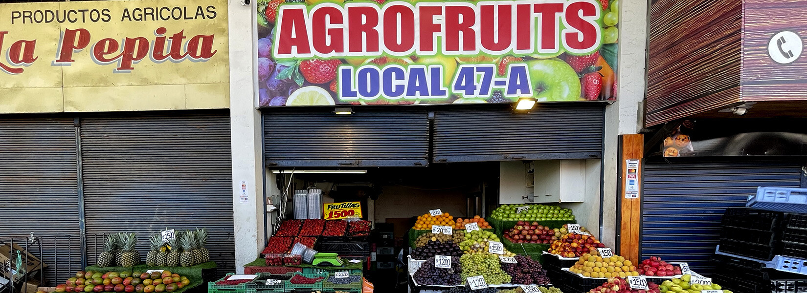 Agrofruits Loc 47-A